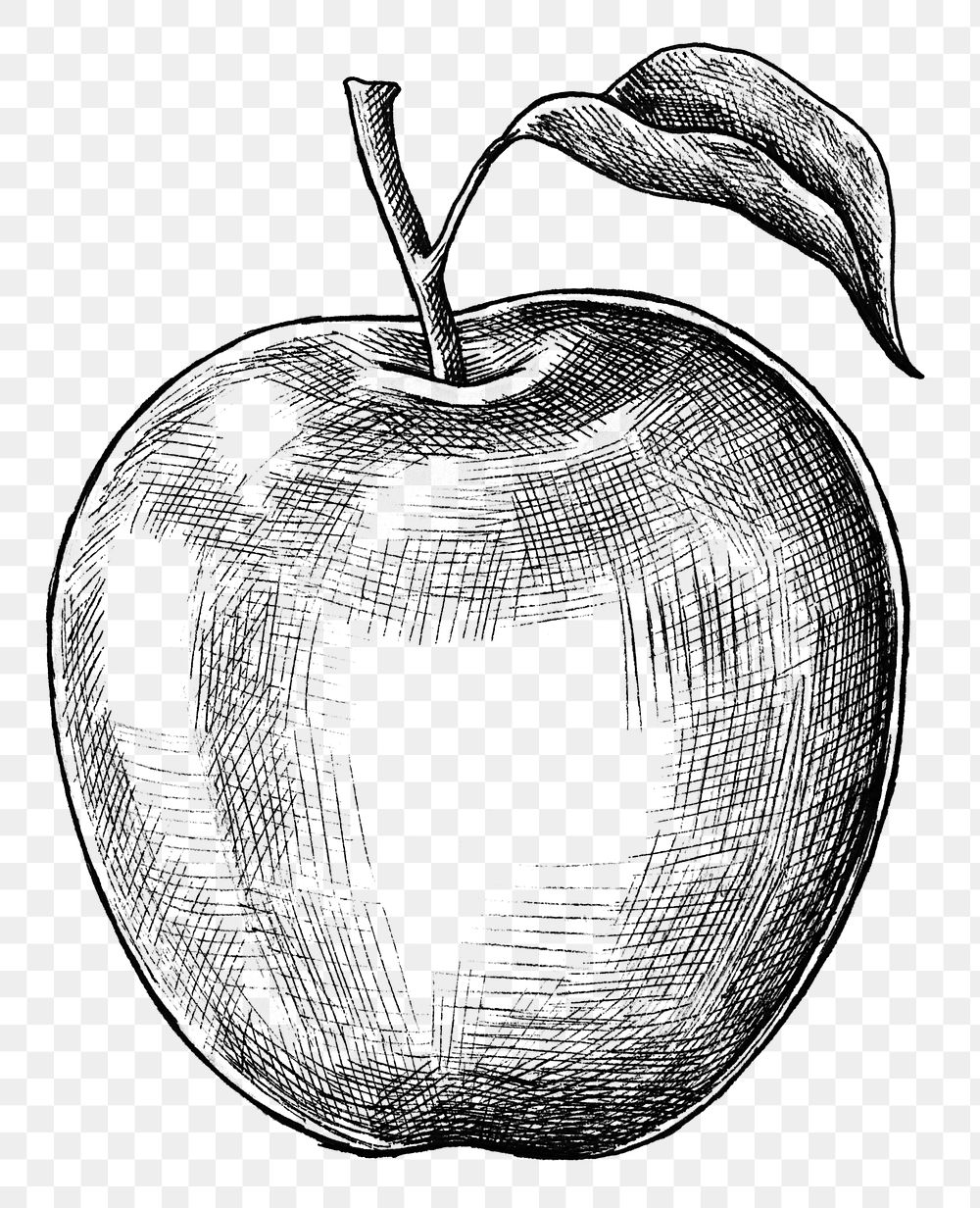 Hand drawn fresh apple fruit transparent png