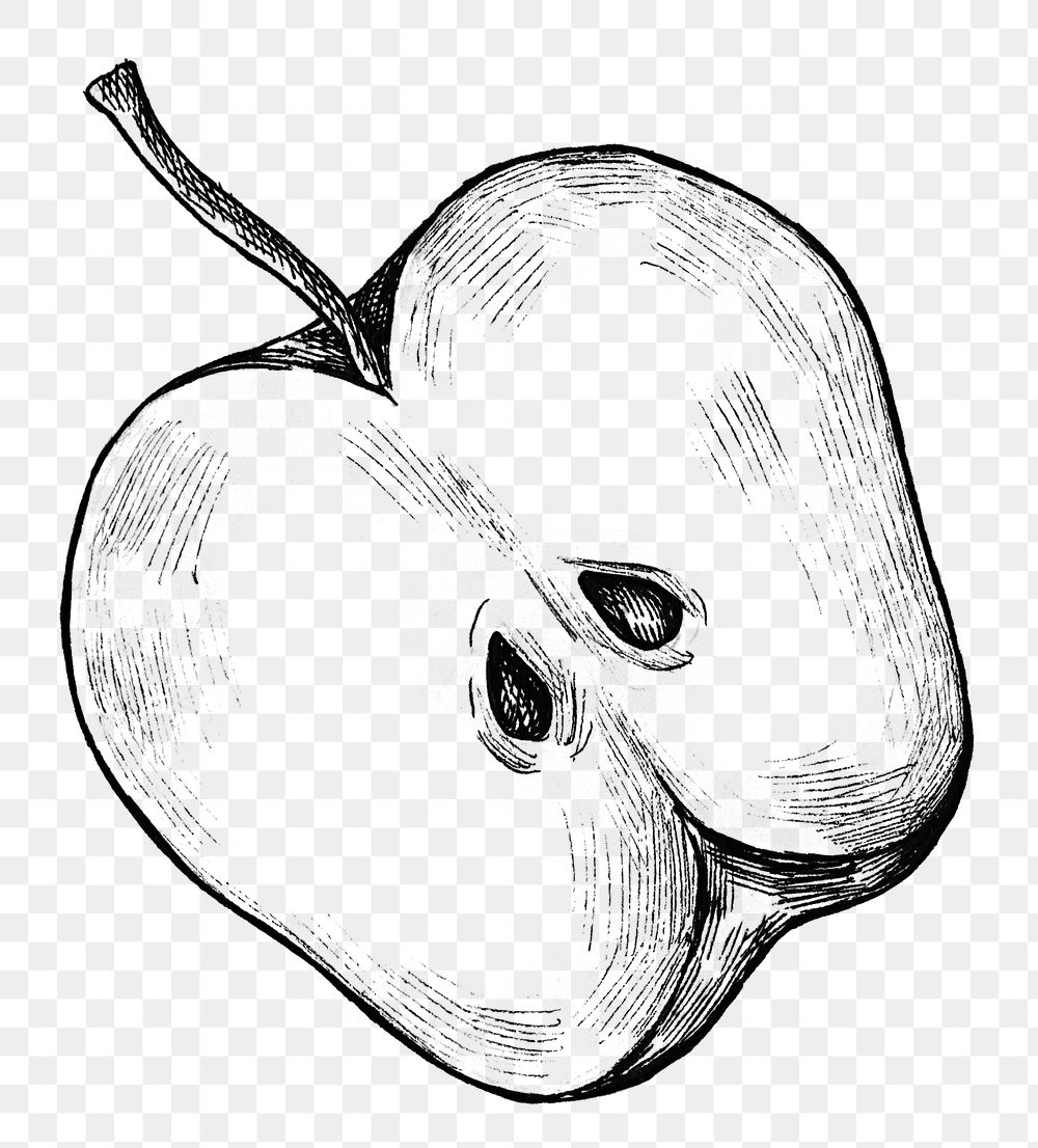 Hand drawn half cut apple transparent png