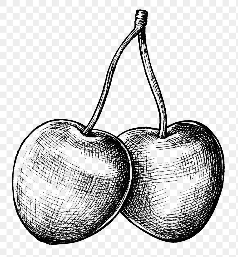 Two hand drawn fresh cherries transparent png