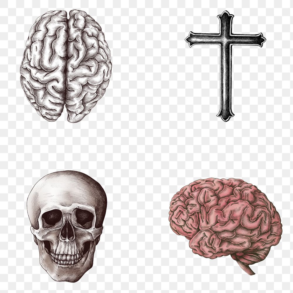 Hand drawn skull and cross design element set