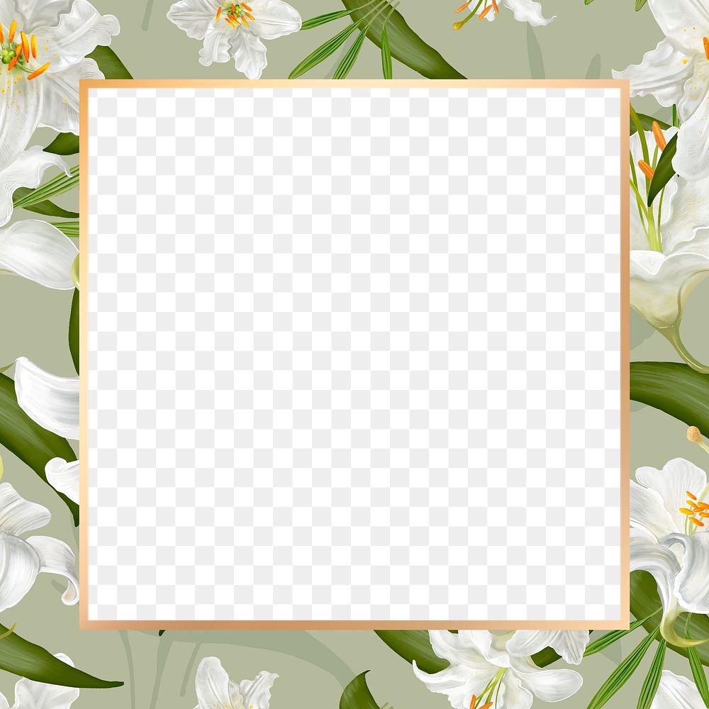 Gold square white lily flower frame design element 