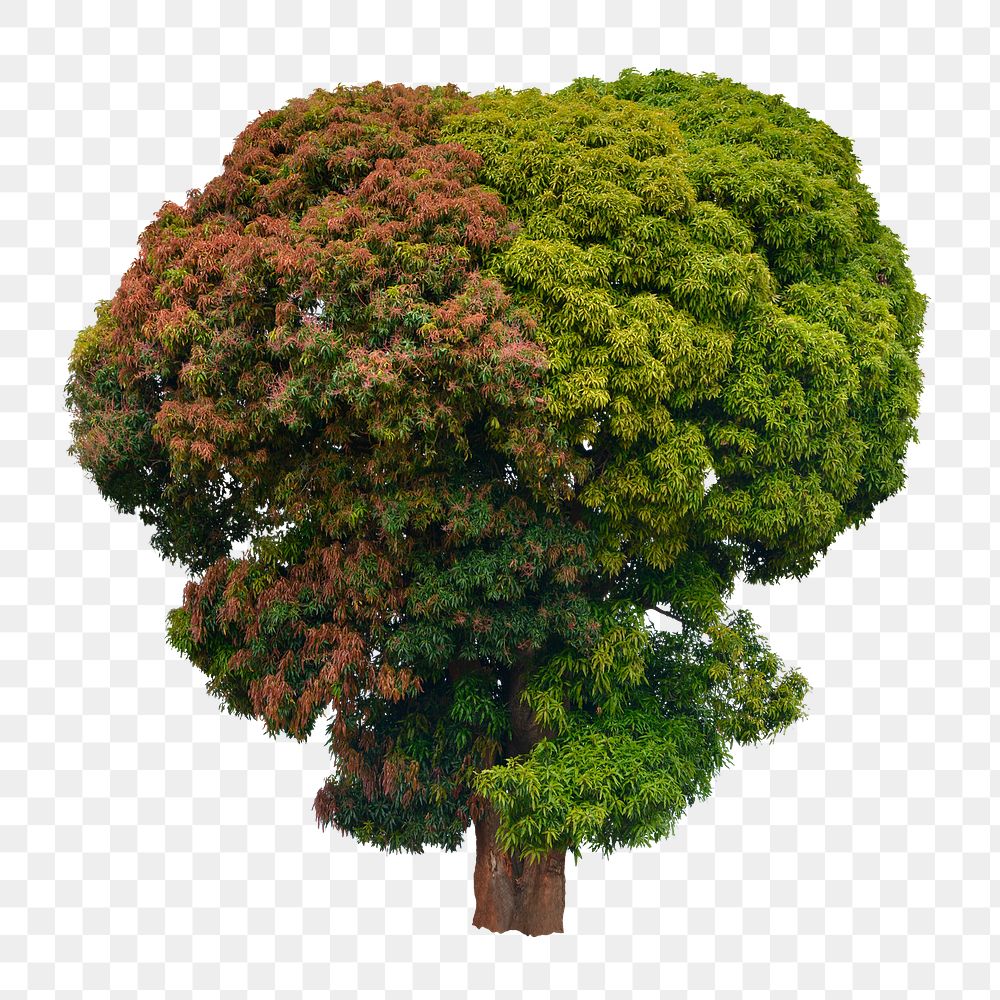 PNG two-toned tree sticker