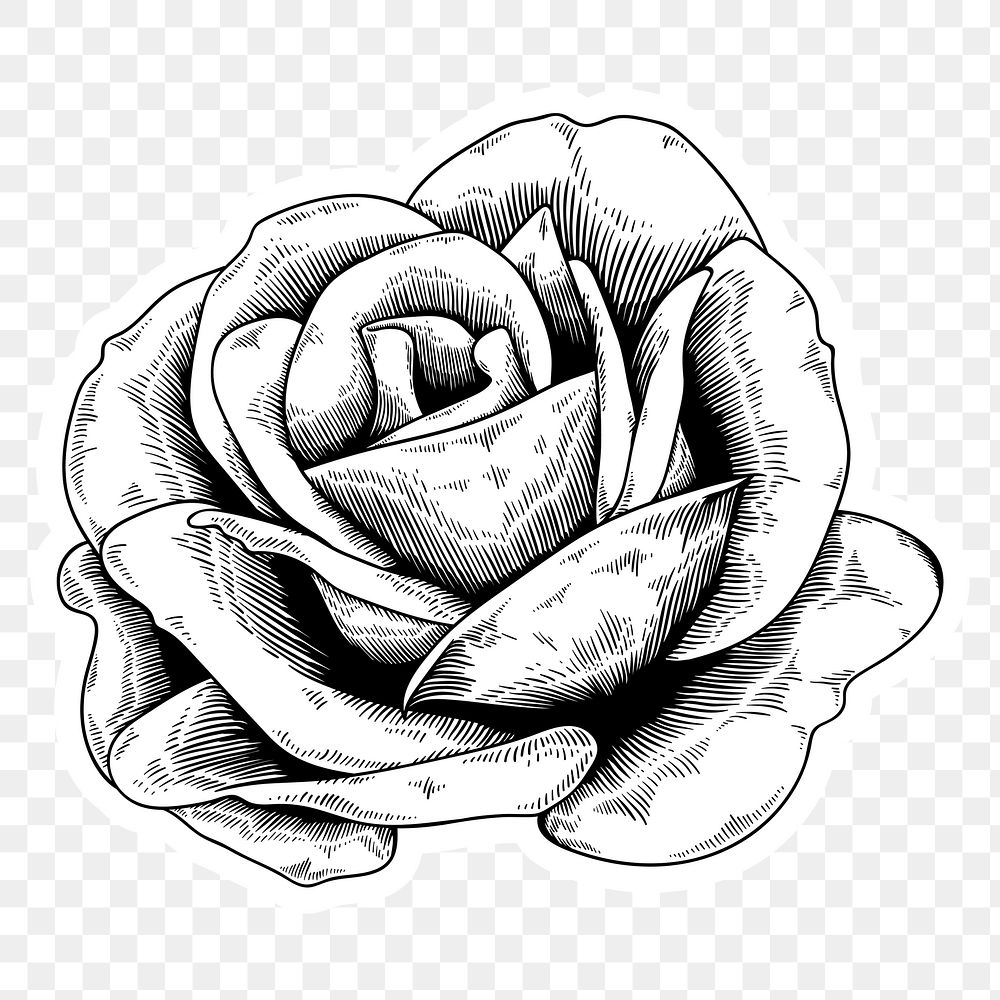Black and white rose sticker with a white border design element