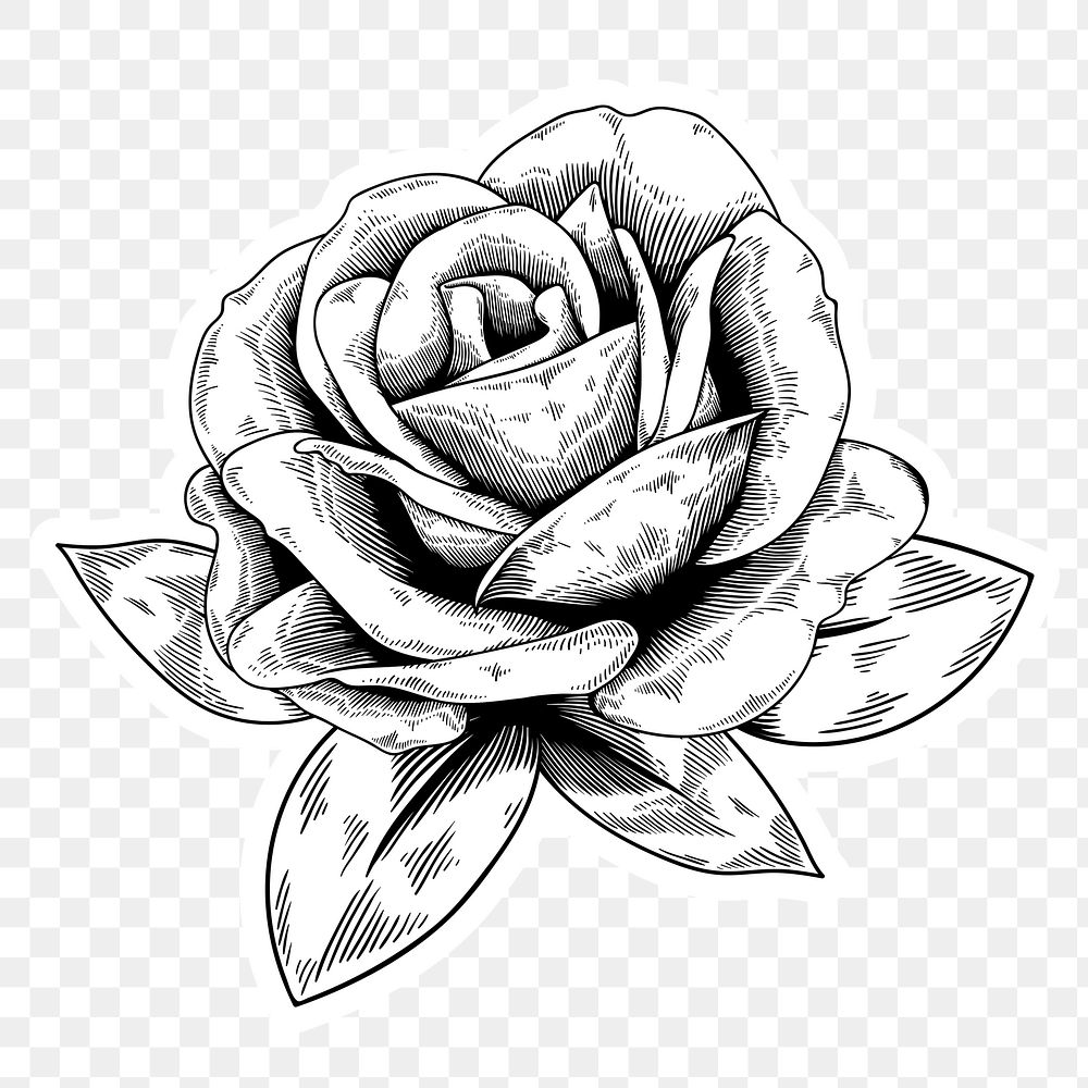 Black and white rose sticker with a white border design element