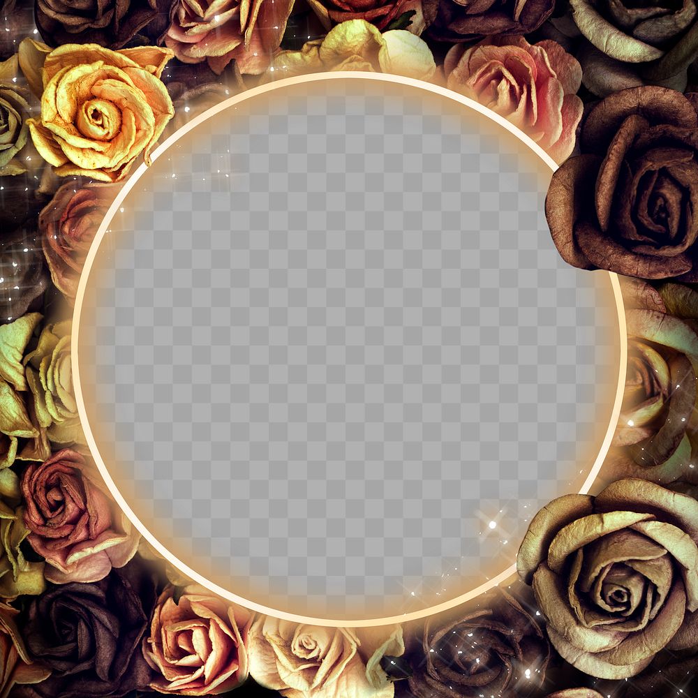 Sepia neon rose frame png