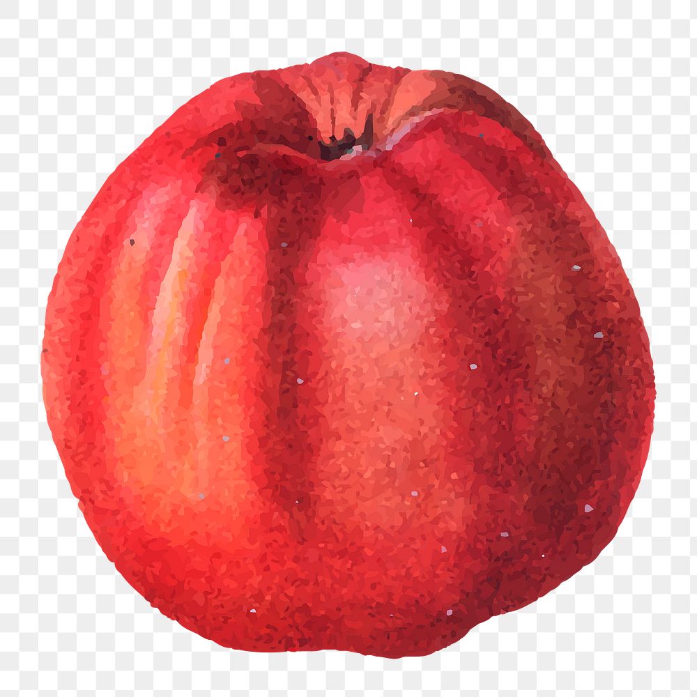 Vintage red apple png fruit sticker