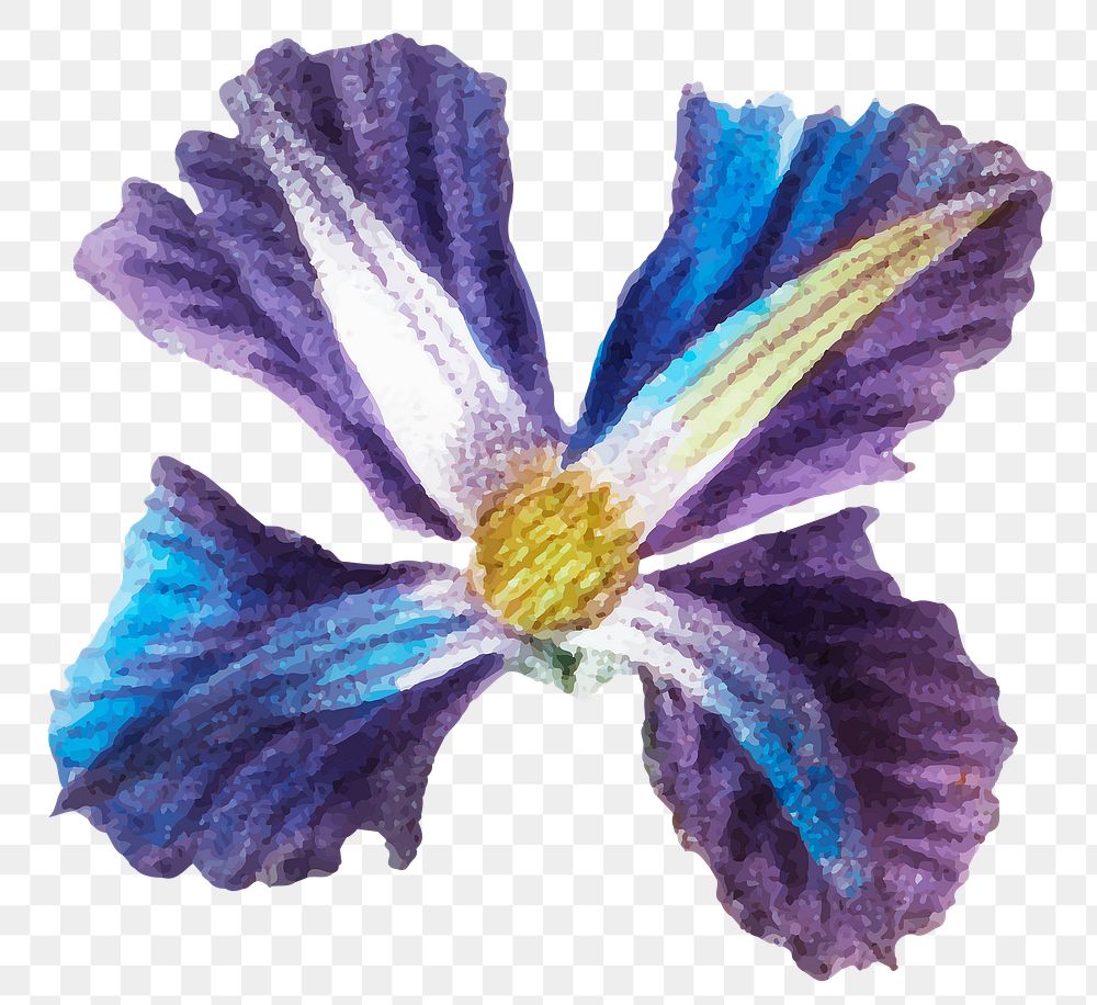 Png purple clematis flower sticker