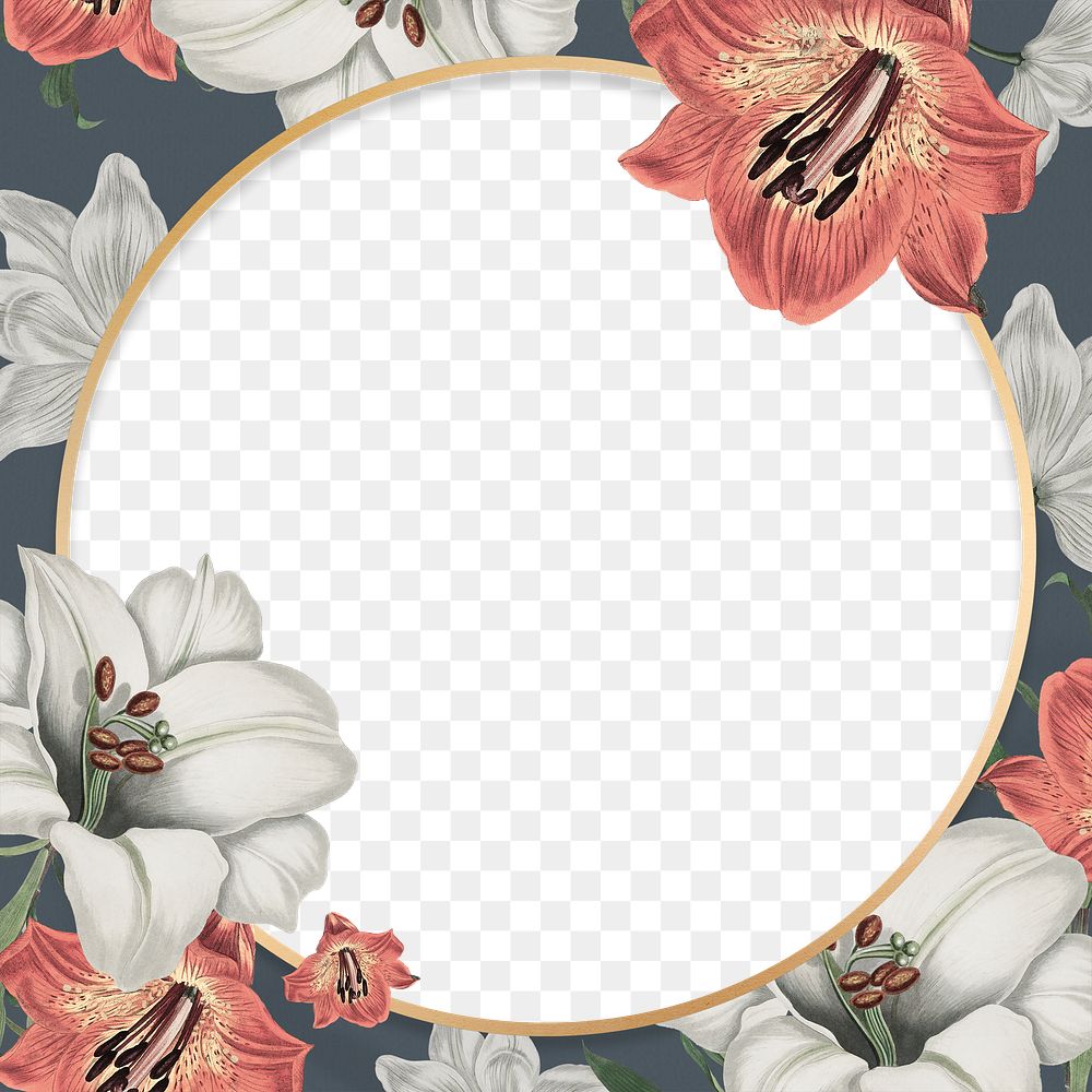 Frame png with lily pattern vintage style