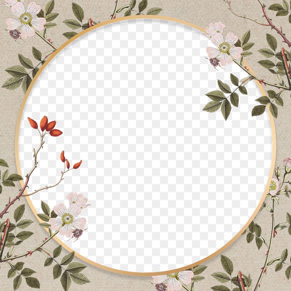 Gold floral round frame png