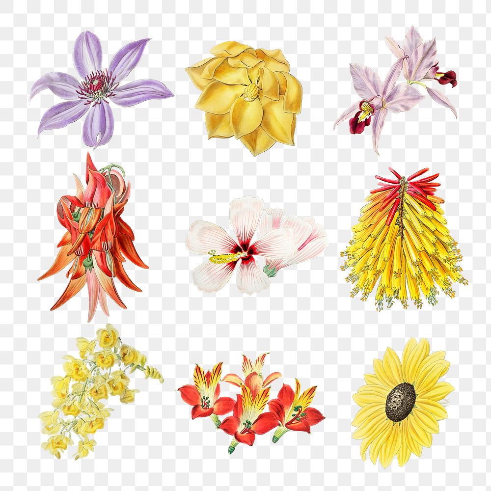 Flowers cut out sticker png mixed