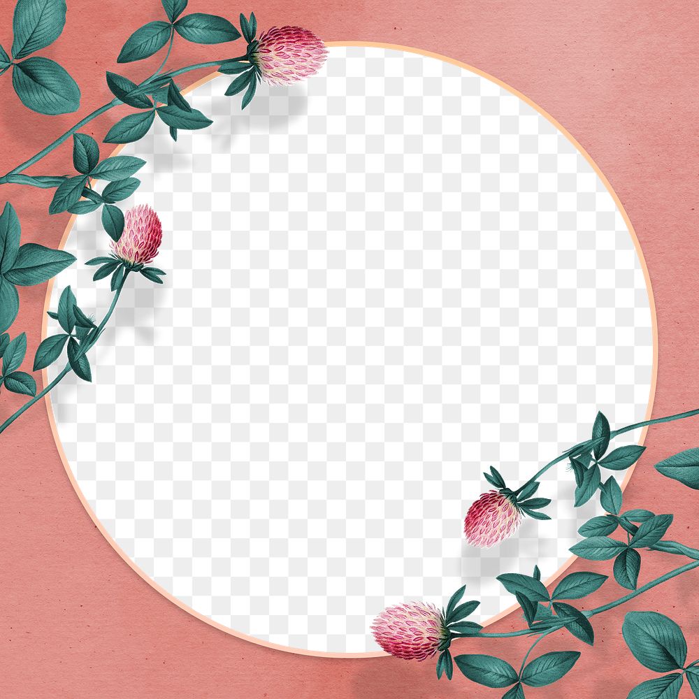 Transparent cudweed decorated frame graphic