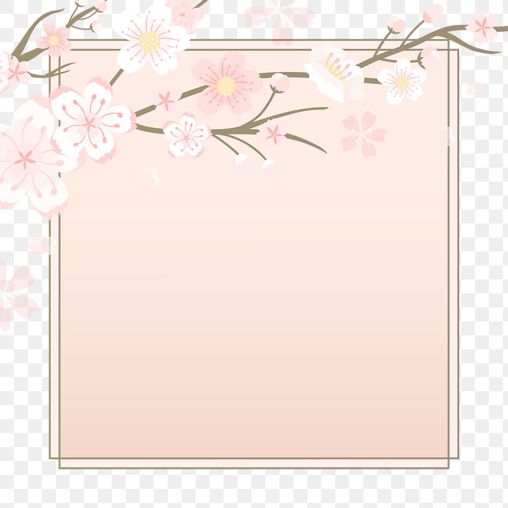 PNG Japanese cherry blossom pink border Hanami festival