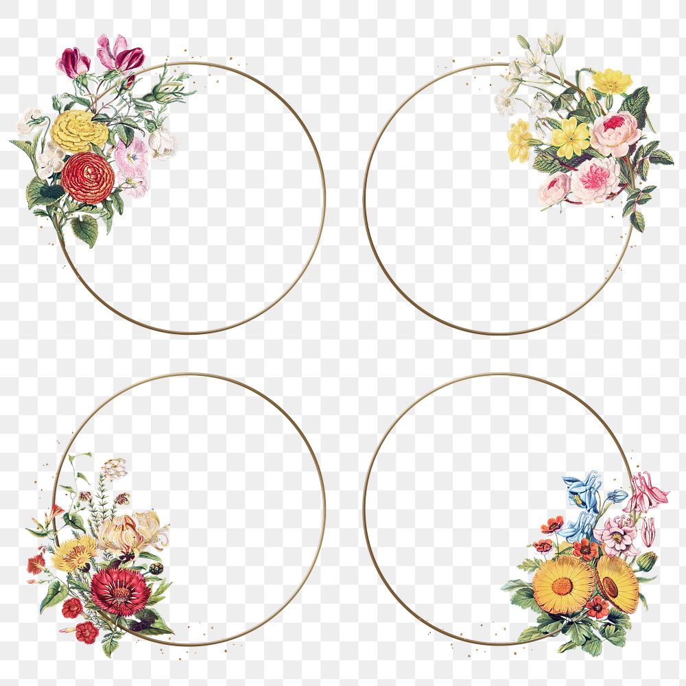 Png frames gold circle with vintage floral illustrations