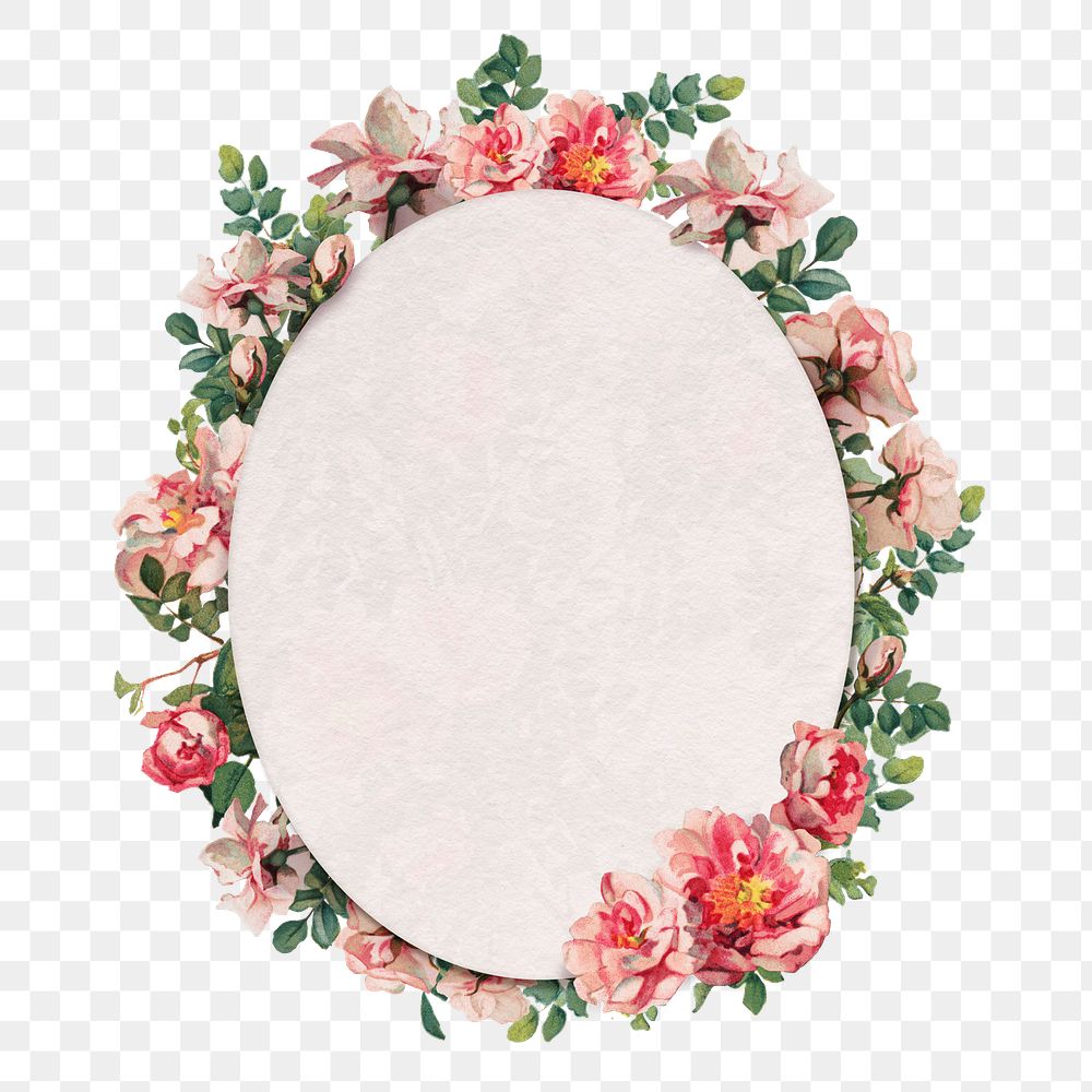 Png pink rose frame botanical oval badge