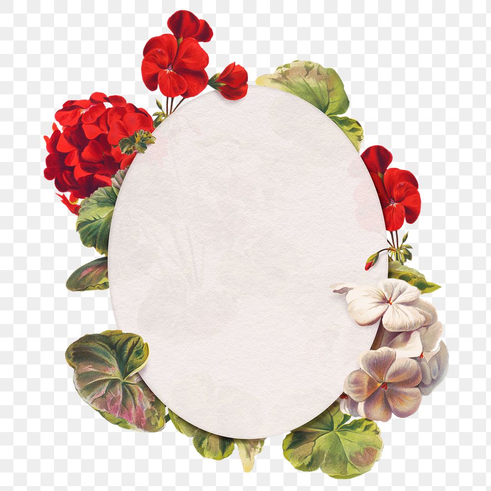Geranium png flower frame botanical oval badge