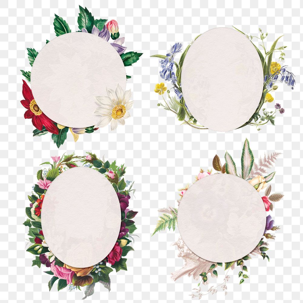 Flower png frame botanical badges
