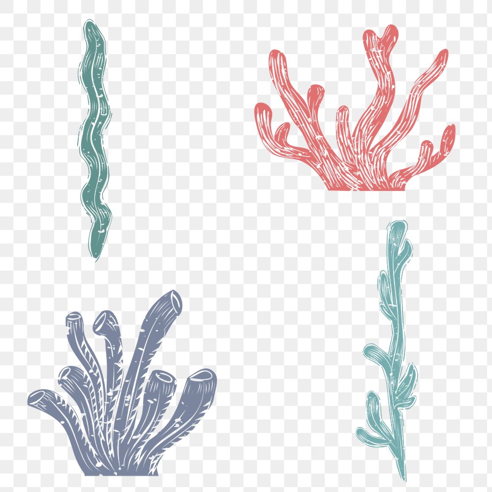 PNG coral linocut cute design elements set