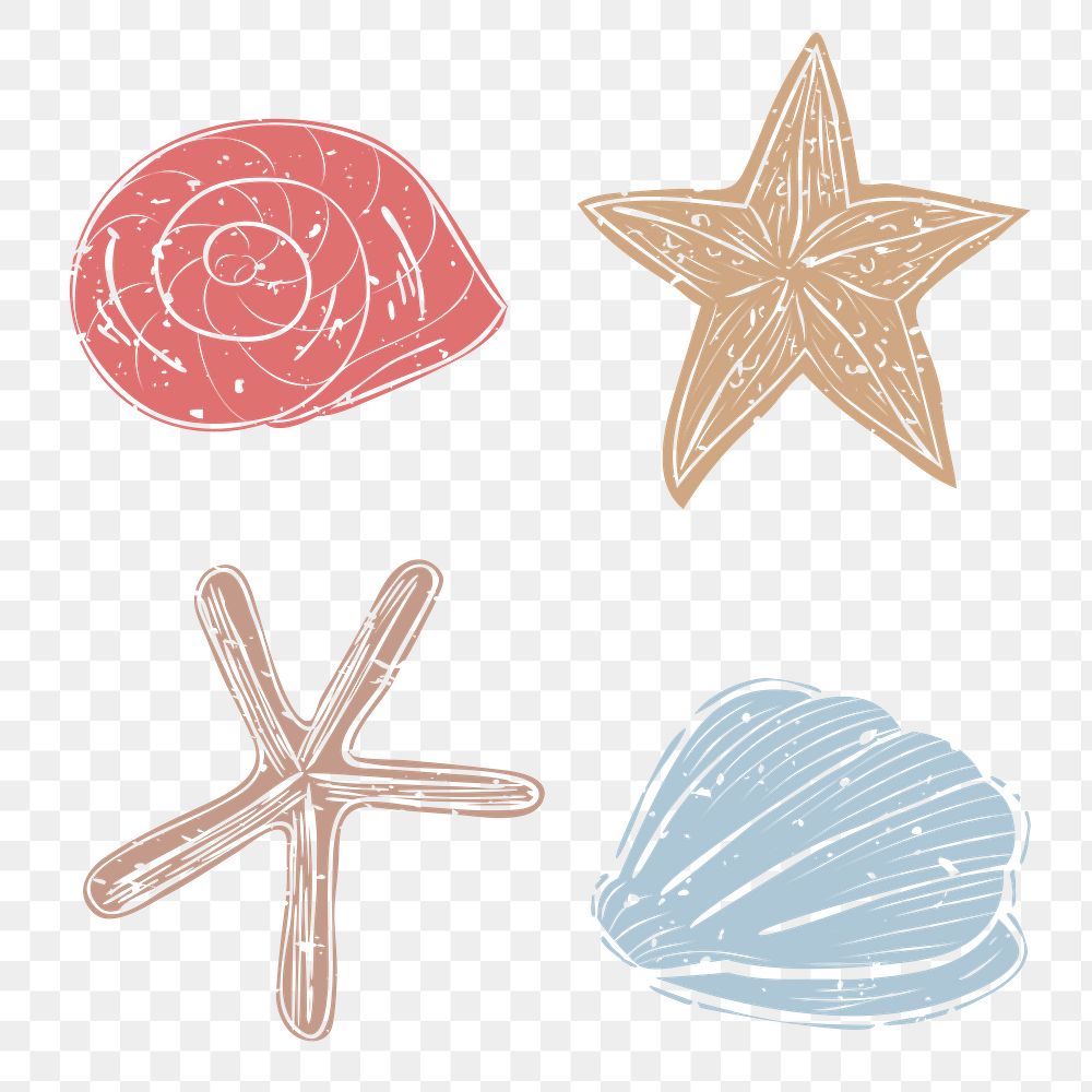 Png seashell design elements set