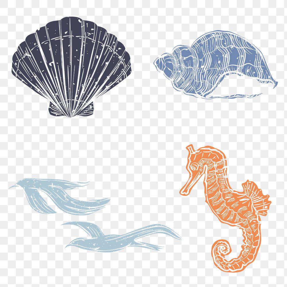 PNG seashell and birds linocut design elements collection
