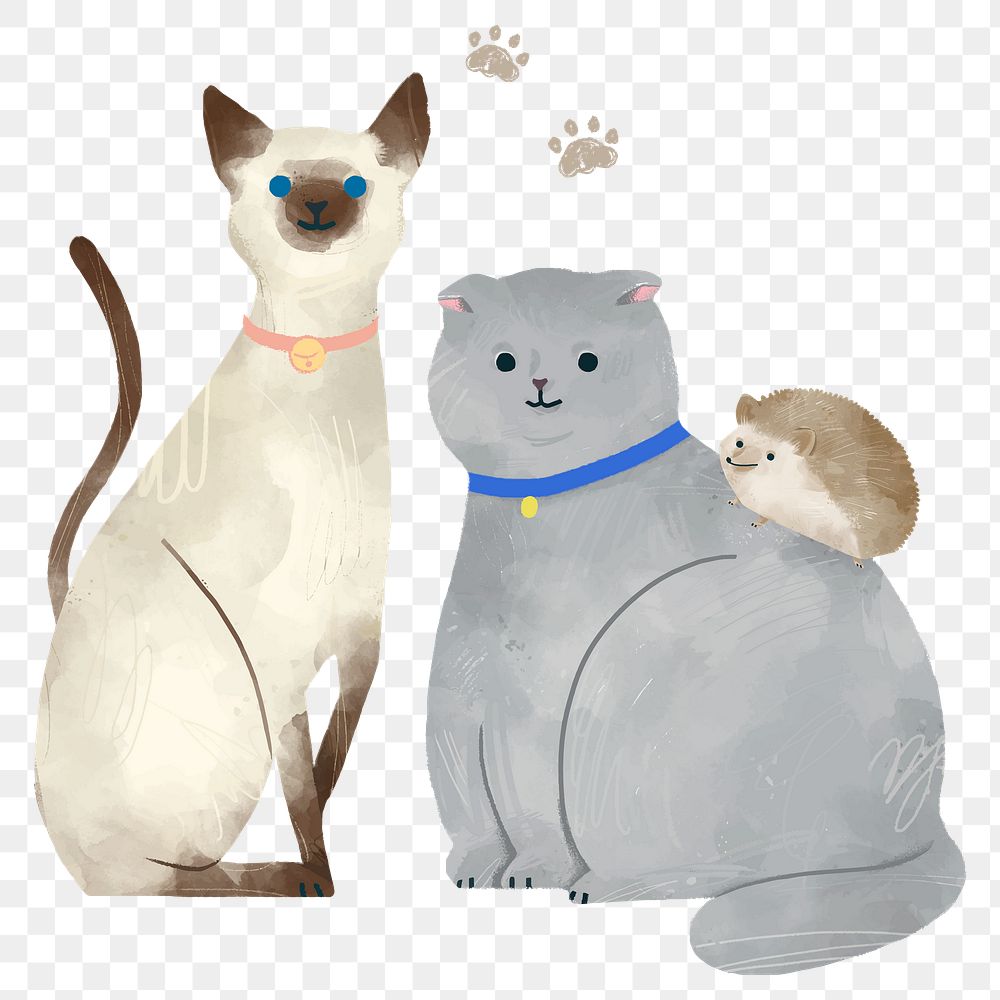 Sticker png with cute pets illustration on transparent background