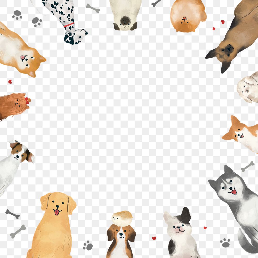 Png frame with cute cats and dogs on transparent background