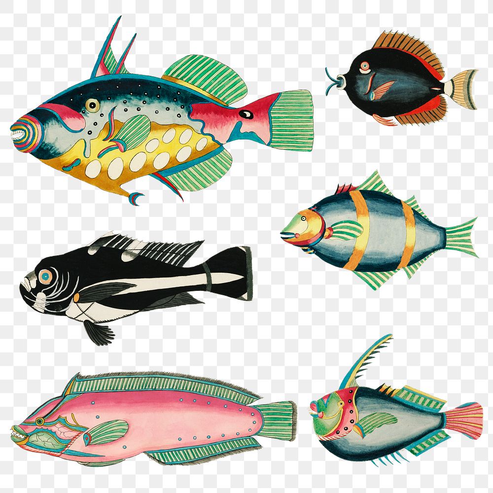 Vintage fish png sticker, colorful animal illustration, remix from the artwork of Louis Renard set