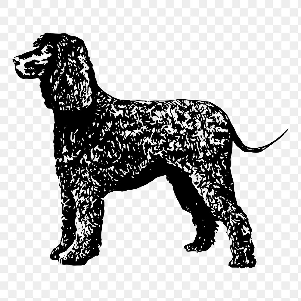 Spaniel dog png sticker, vintage animal illustration, transparent background. Free public domain CC0 image.