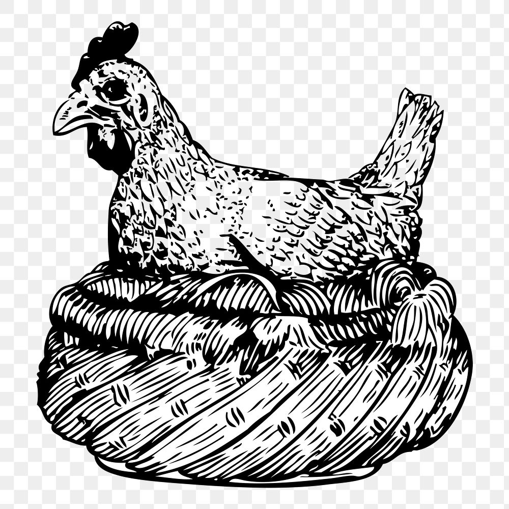 Chicken png sticker, vintage animal illustration, transparent background. Free public domain CC0 image.