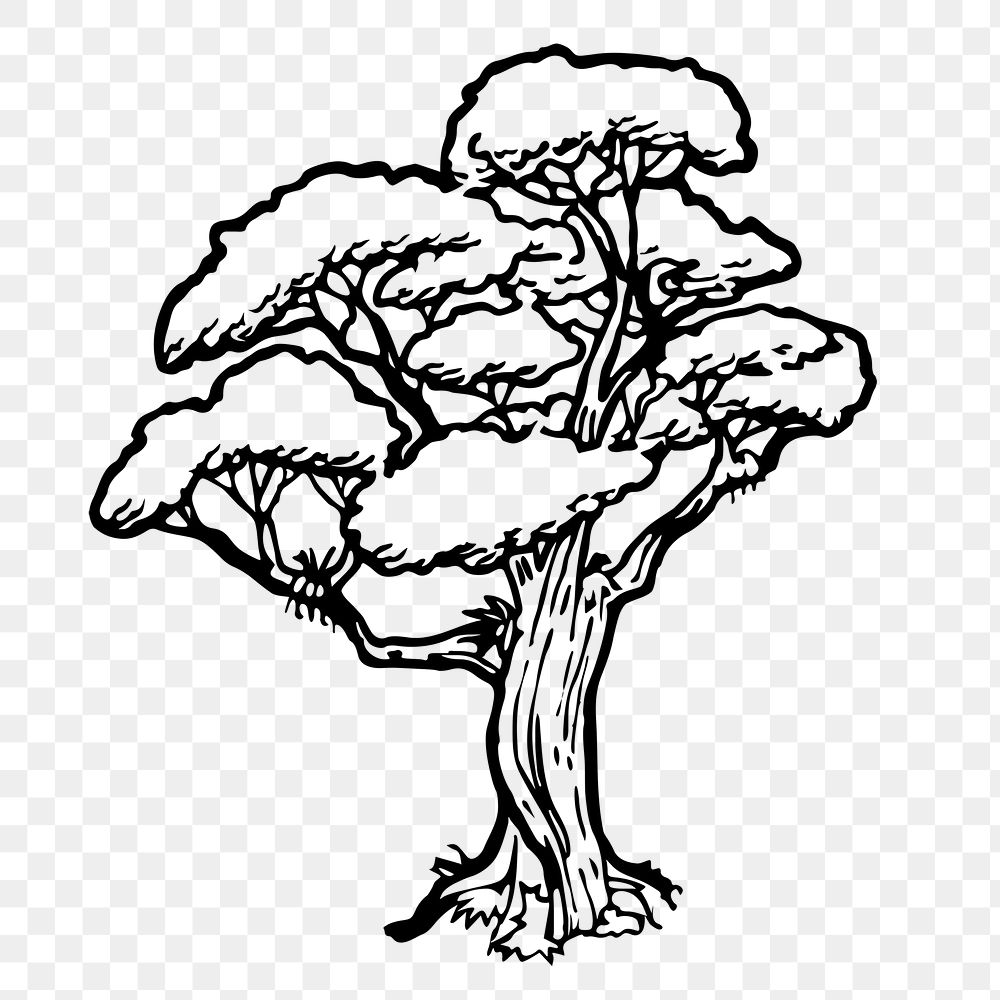 Rata tree png sticker, botanical illustration on transparent background. Free public domain CC0 image.