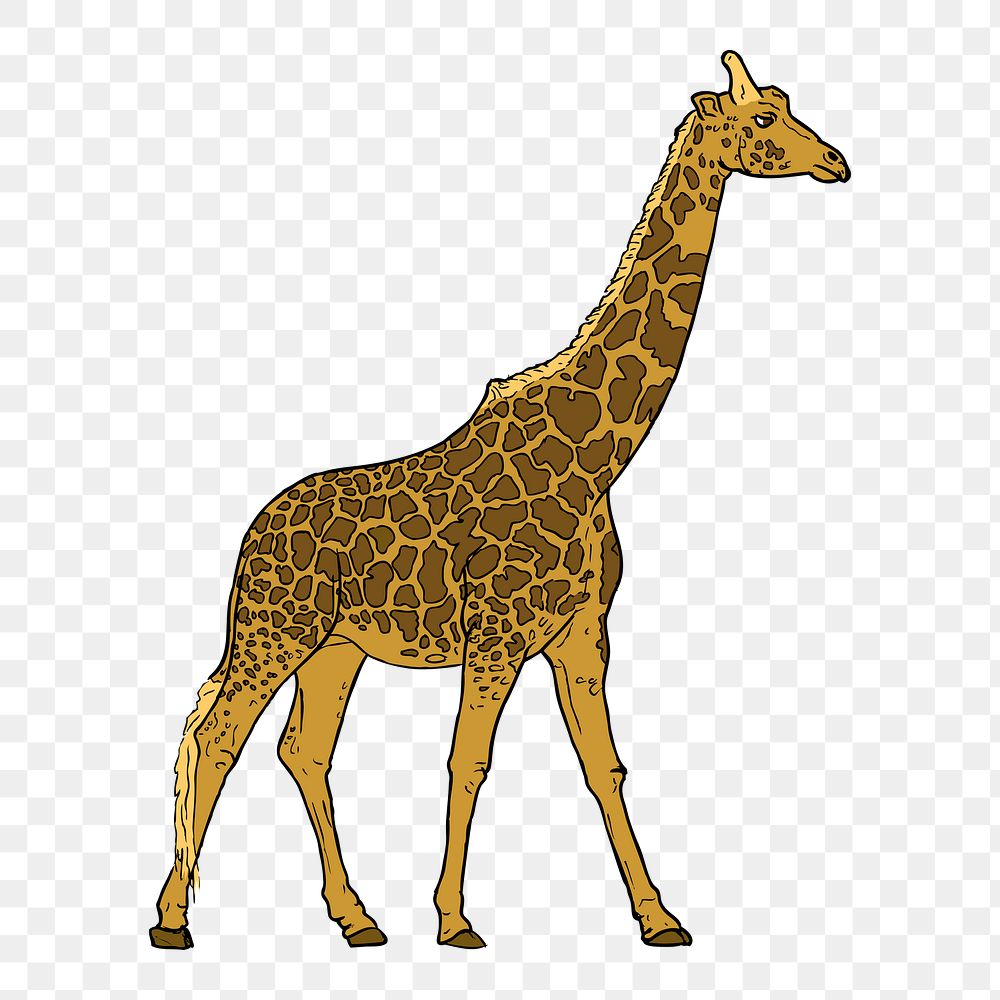 Giraffe png sticker, animal illustration on transparent background. Free public domain CC0 image.