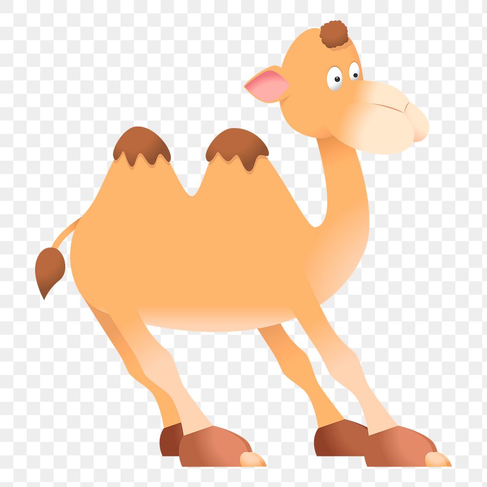 Camel png sticker, cute animal illustration, transparent background. Free public domain CC0 image.