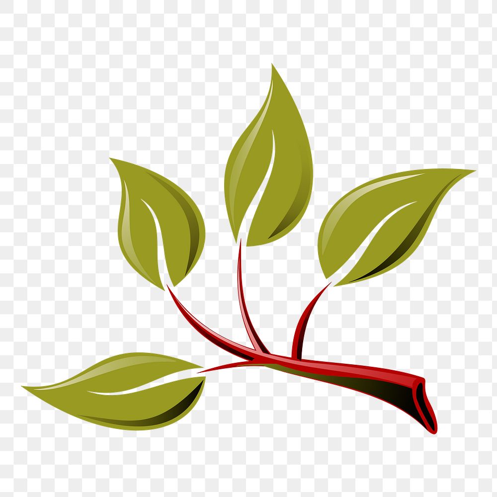 Green leaves png sticker, plant illustration, transparent background. Free public domain CC0 image.