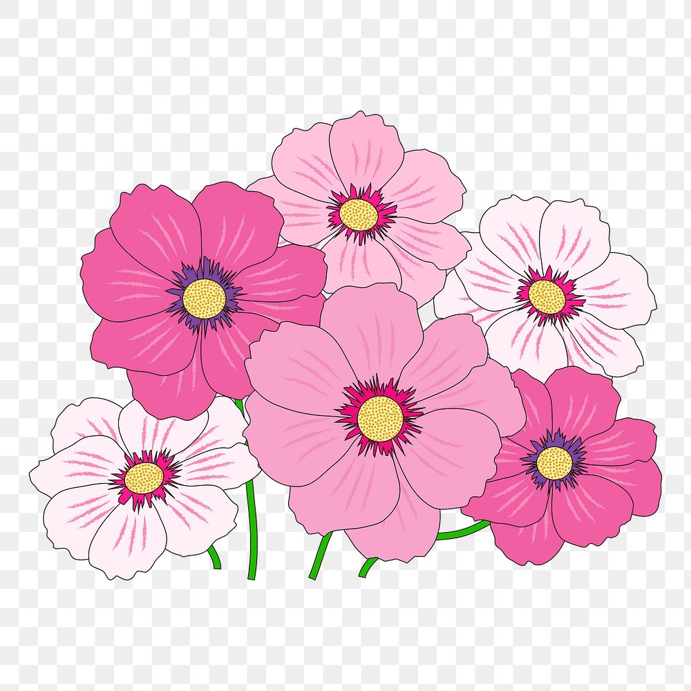 Pink flowers png sticker, cosmos illustration, transparent background. Free public domain CC0 image.