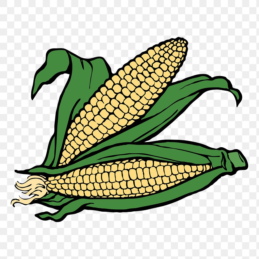 Corn png sticker, vegetable illustration, transparent background. Free public domain CC0 image.