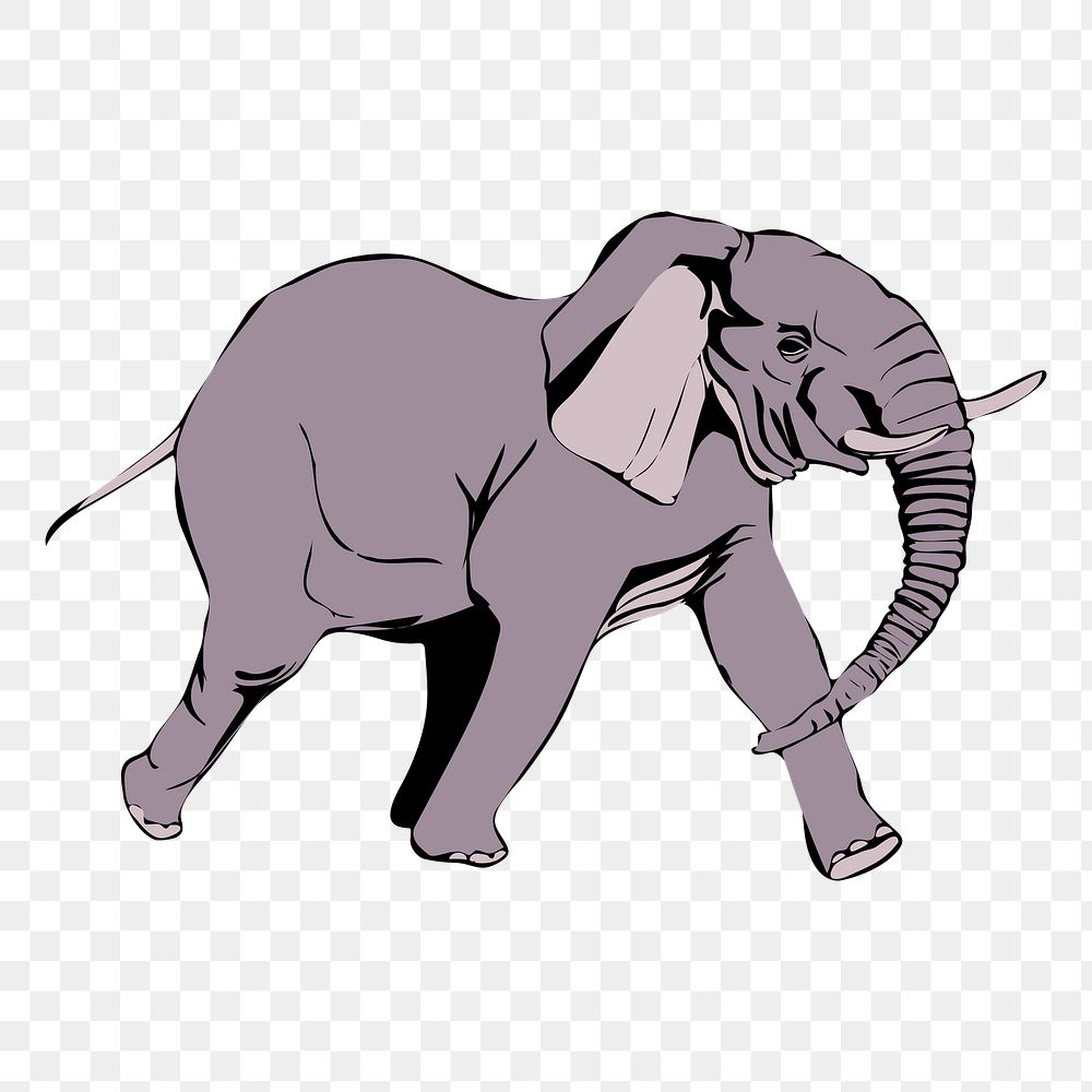 Elephant png sticker, animal illustration, transparent background. Free public domain CC0 image.