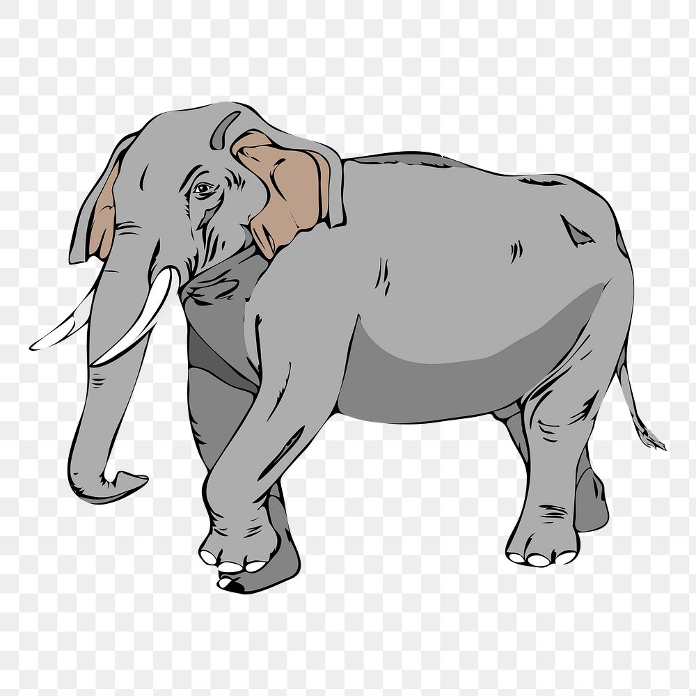 Elephant png sticker, animal illustration, transparent background. Free public domain CC0 image.
