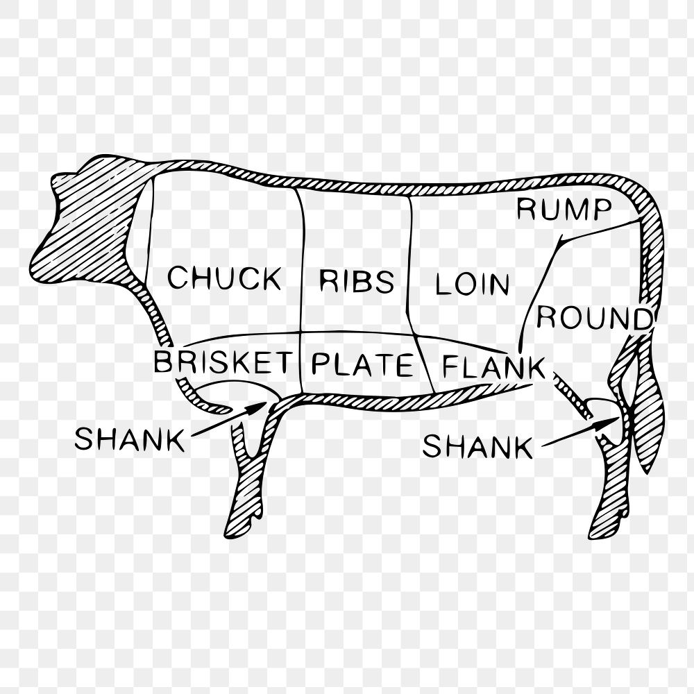 Beef cuts png sticker, diagram illustration, transparent background. Free public domain CC0 image.