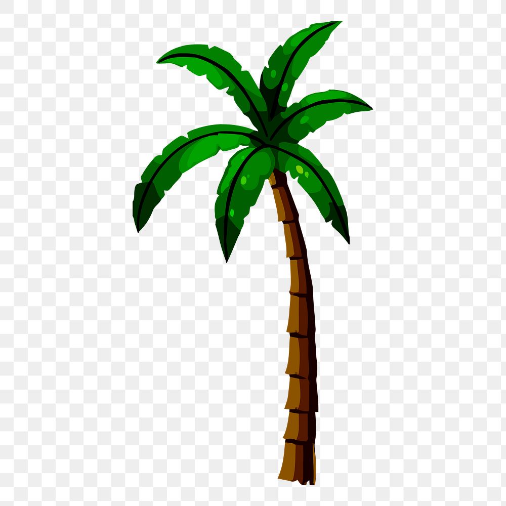 Palm tree png sticker, botanical illustration, transparent background. Free public domain CC0 image.