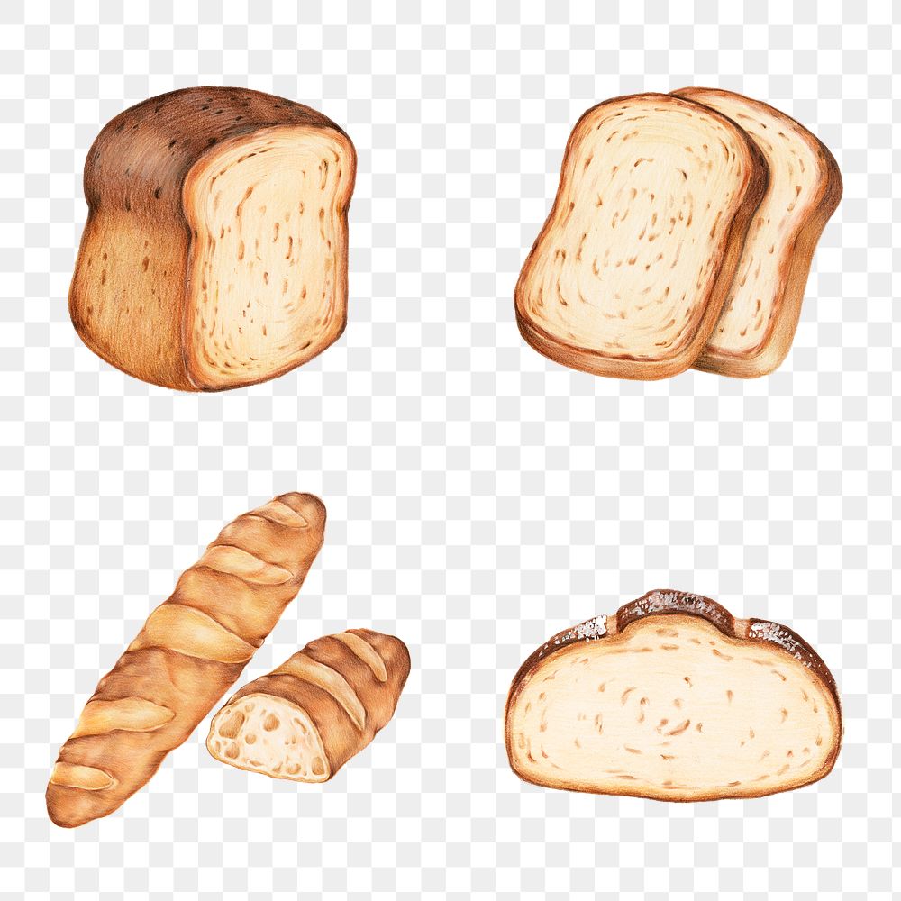 Fresh bread png golden brown illustrated mixed