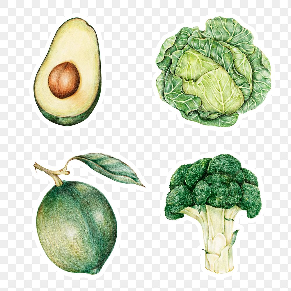 Organic vegetables illustration png raw food sticker mixed