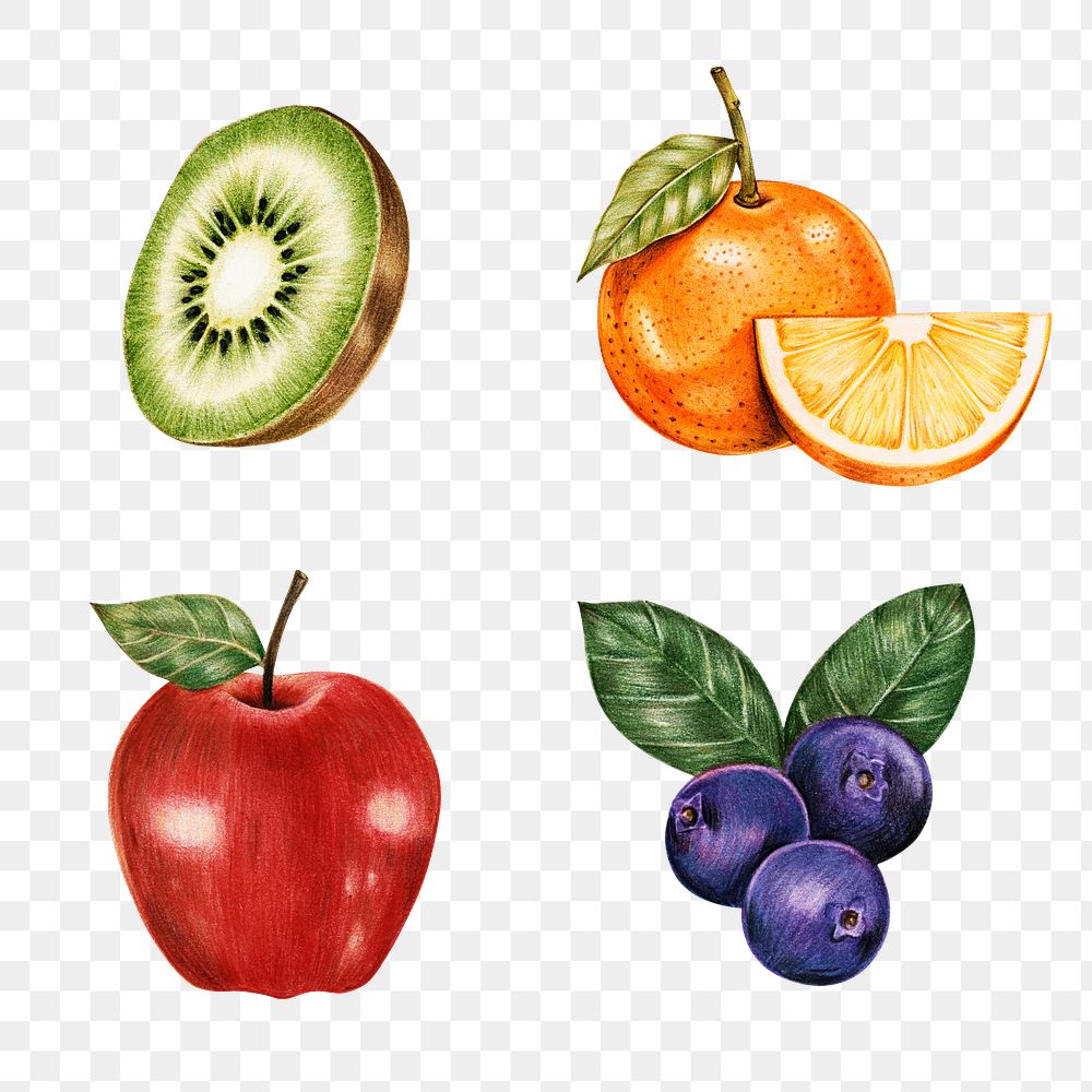 Summer fruits illustration png sticker collection