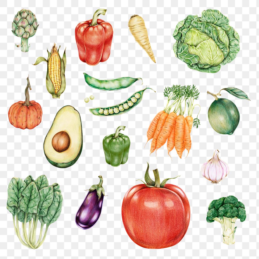 Vegetables sticker png organic botanical illustration mixed
