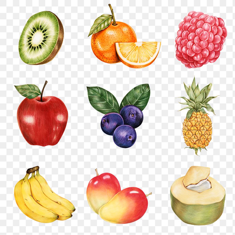 Fresh fruits illustration png food drawing collection