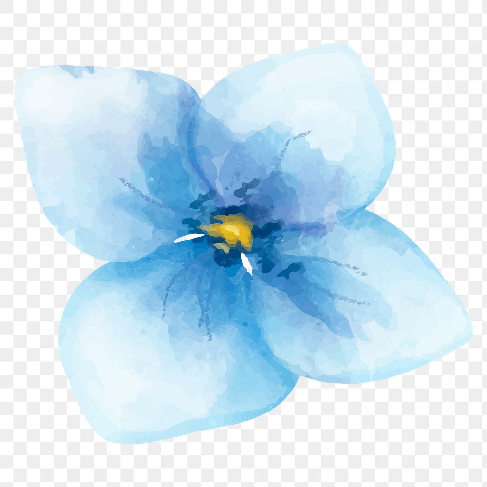 Hydrangea flower sticker png hand drawn watercolor