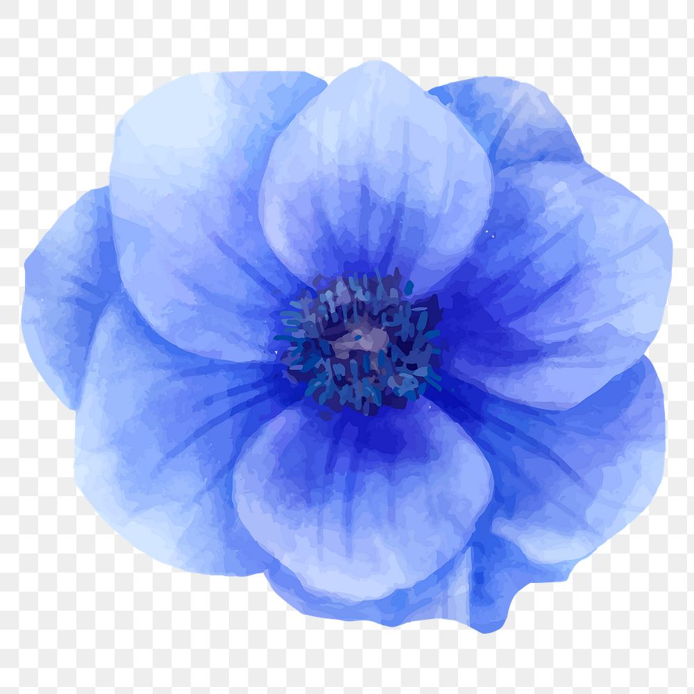 Blue flower sticker png hand drawn watercolor