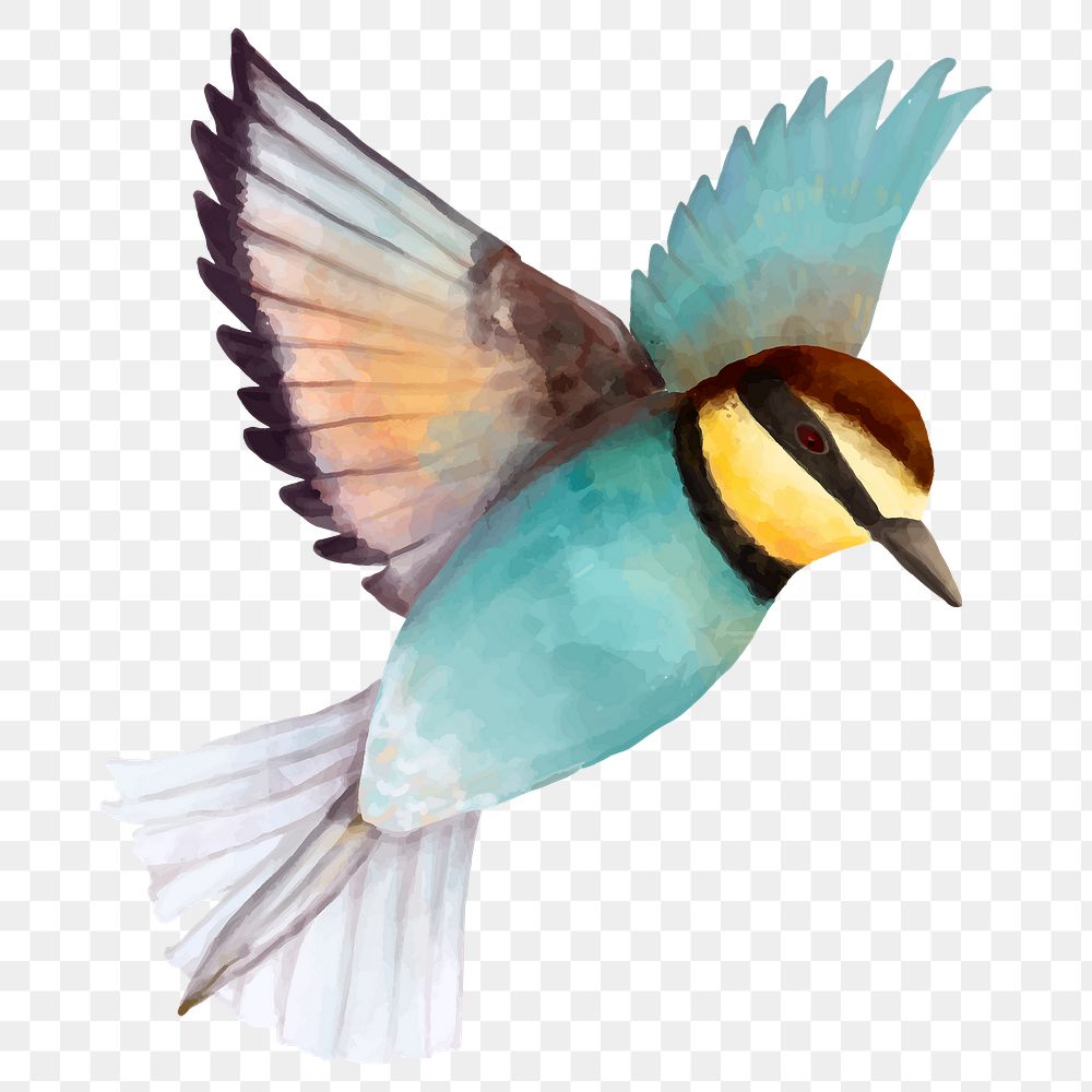 Watercolor bird sticker png drawing clipart 