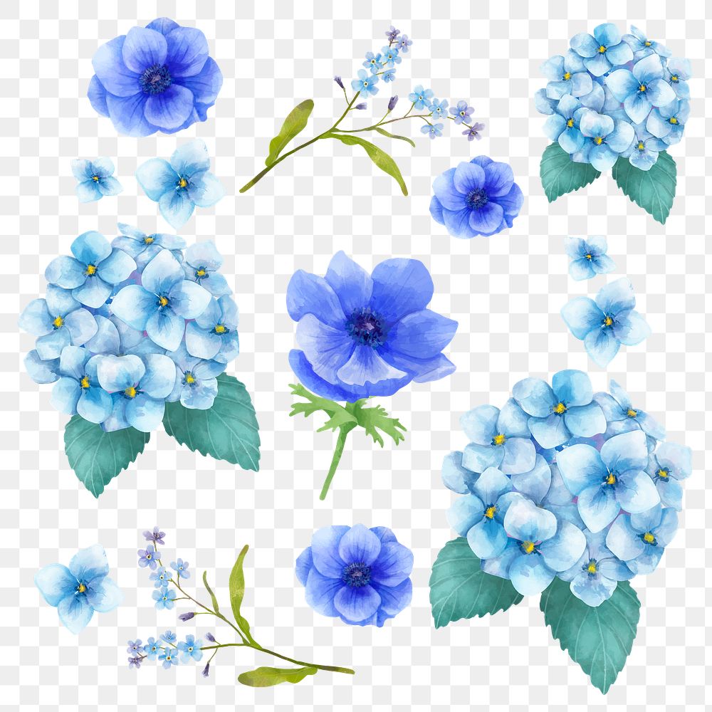 Painting blue lowers png sticker watercolor clipart collection