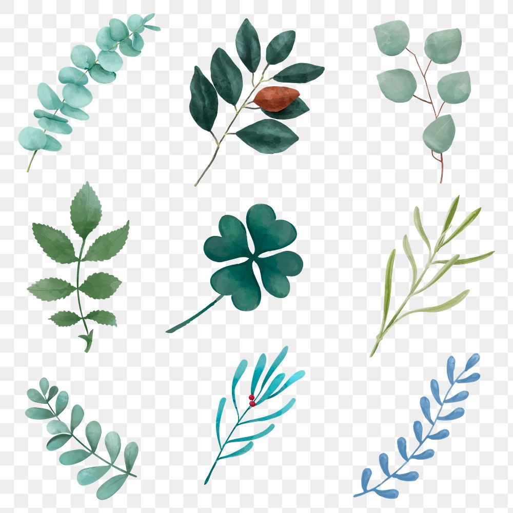 Sprigs sticker png watercolor illustration collection
