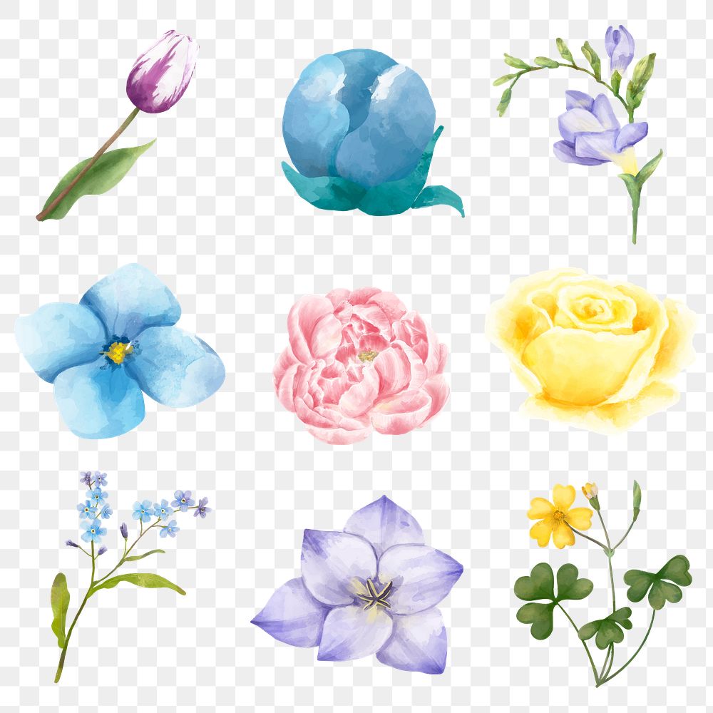 Blooming flowers png sticker floral set