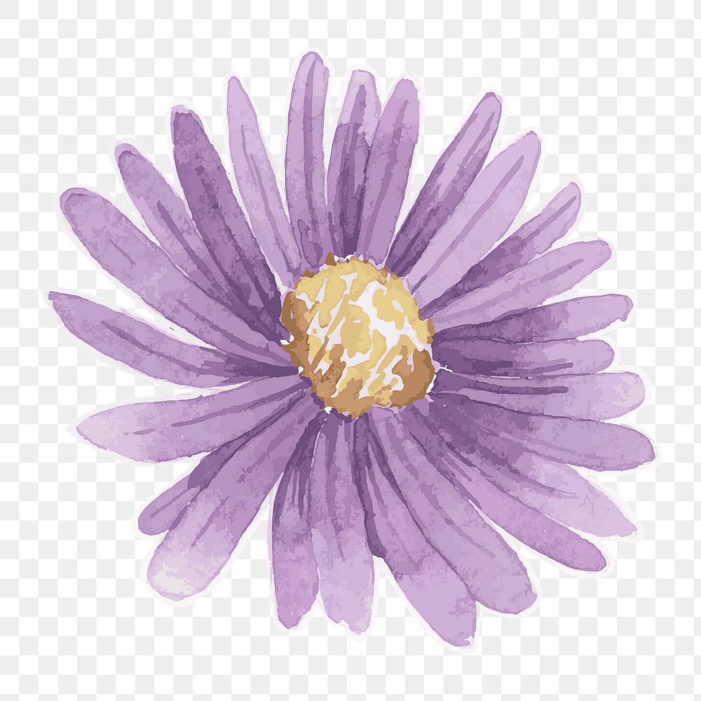 daisy flower transparent png watercolor sticker